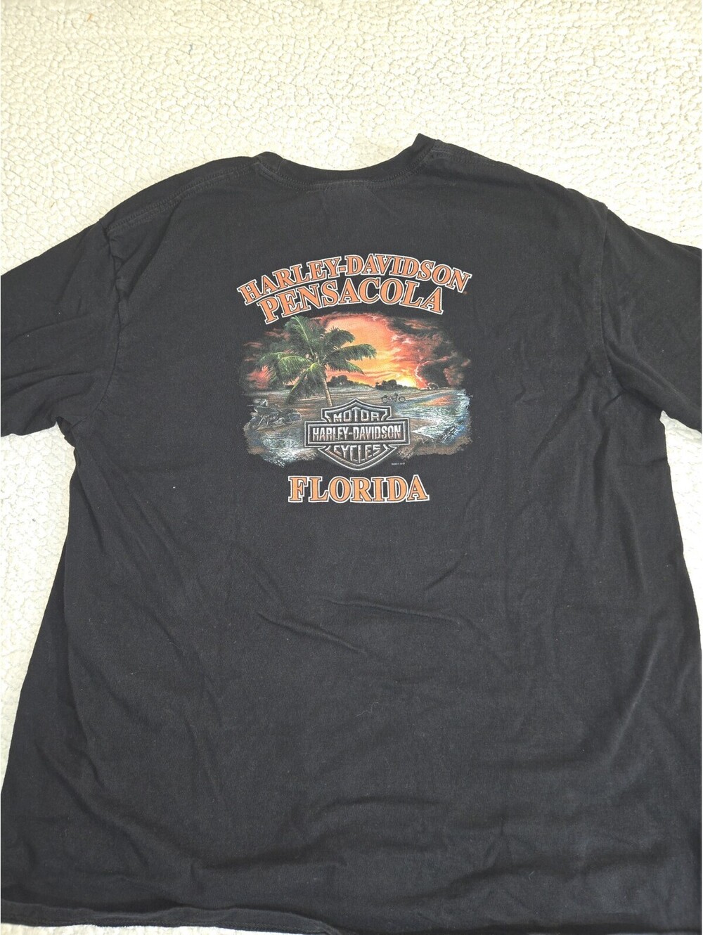Harley Davidson  Men's XL Tshirt Pensacola Florida